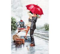 Luca-S B2369 - Kit de punto de cruz (31 x 19 cm), multicolor