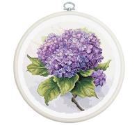 Luca-S BC225 - Kit de punto de cruz con aro incluido, diseño de hortensias