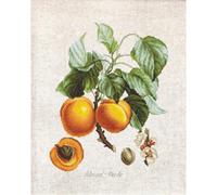 Luca-S BL22450 - Kit de punto de cruz (17,5 x 22,5 cm), multicolor