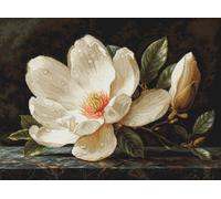 Luca-S contó Tappiserie kit "Colección Oro El Rocío de Magnolia", 27x20cm