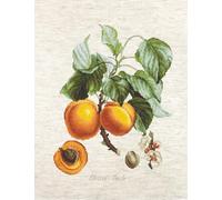 Luca-S Embroidery Kits Kit de Punto de Cruz, Algodón, Multicolor, 32x26cm