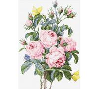 Luca-S Embroidery Kits Kit de Punto de Cruz, Multicolor, 25x35cm