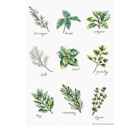 Lucas Gewürze und Kräuter I Kit de Punto de Cruz, algodón, Multicolor, 21,5x30,5cm