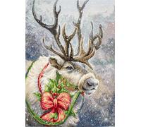 Luca-S - Kit de punto de cruz contado, 21 x 30 cm, diseño de camiseta navideña