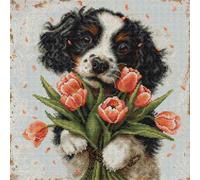 Luca-S kit de punto de cruz contado "El cachorro de Cocker Spaniel", 27x27cm, DI