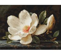 Luca-S kit de punto de cruz contado "Gold Collection The Magnolia Dew", 38x28cm