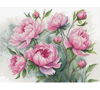 Luca-S Kit de punto de cruz El encanto de las peonías, B7019, kit de punto de cruz contado para adultos, kit de costura y bordado