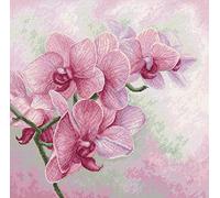Luca-S Kit de punto de cruz para adultos, orquídeas graciosas B7009, kit de bordado y costura