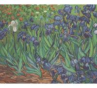 Luca-S B444 Irises, Reproduction of Van GOG-Cross Stitch Kit Punto de Cruz, Tela, Verde, Small