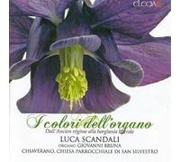 Luca Scandali - I colori dell'organo