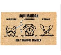 LucaHome - Felpudo Personalizado 3 Perro y Gato - Felpudo Antideslizante 60x33 cm