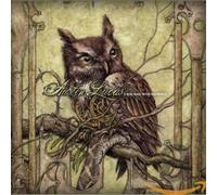 Lucas, Austin - A New Hom in the Old..