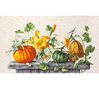 LUCAS-S Cross Stitch - Pumpkins