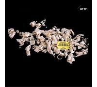 Lucerne Jazz Orchestra - Oaktree
