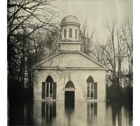 Lucero Among the Ghosts (Vinyl) 12" Album (Importación USA)