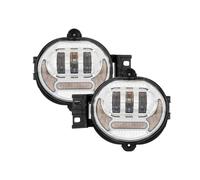Luces Antiniebla 1 Par De Luces Antiniebla LED para Coche Intermitentes para Dodge para Ram 1500 2002-2008 para Dodge para Ram 2500/3500 2003-2009 Faro Antiniebla(Cromo)
