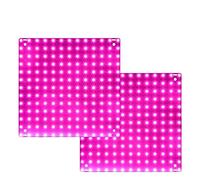 Luces de Cultivo, 2PCS LED Grow Light Lámpara de espectro completo Grow Plant Growth Lamp 1000W 2000W Luz hidropónica Tienda de semillas de flores 85-265V(Type I-1500W-169leds)