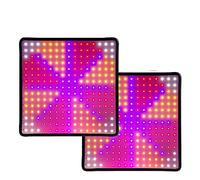 Luces de Cultivo, 2PCS LED Grow Light Lámpara de espectro completo Grow Plant Growth Lamp 1000W 2000W Luz hidropónica Tienda de semillas de flores 85-265V(Type E-2000W-2PCS)