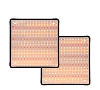 Luces LED de cultivo, 2PCS LED Grow Light Lámpara de espectro completo Grow Plant Growth Lamp 1000W 2000W Luz hidropónica Tienda de semillas de flores 85-265V(Type D-2000W-2PCS)