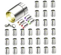 Luces LED en Miniatura para la artesanía 30 Piezas Coloridas Luces de casa de muñecas flashuladores lentos 0.6x0.4 Batería cilíndrica Plateada DIY DIY ILUMENTA DE ILUMENTA DE Perros para Perros Media