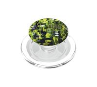Luces Negras Frescas de Aurora Boreal del Norte, Abstracto PopSockets PopGrip para MagSafe