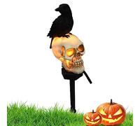 Luces solares para caminos de Halloween luz solar para jardín 6-8 horas LED impermeable con forma de calavera de cuervo luces solares para jardín enchufe para césped patio trasero Mira a la izq