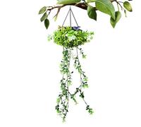 Luces Solares para Jardín Exterior,Guirnalda LED de Enredadera Artificial,Guirnalda Solar De Flores | para Exterior Jardín Patio Porche Balcón Valla Apartamento Terraza Paisaje