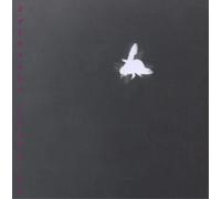 Lucia Ronchetti Xylocopa Violacea: Solo Per Viola and Live-electronics (CD)