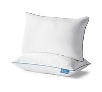 LUCID Almohada de Espuma viscoelástica triturada, hipoalergénica, Ajustable, Paquete de 2