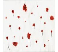 Lucid Fall - Night of the Border