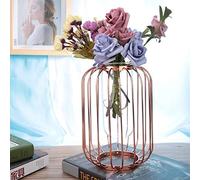 LUCKDANO Jarrón de Hierro Forjado con Forma de Farol Nórdico, Elegante Jarrón de Cristal para Terrario, Color Dorado Champán, Perfecto para Decoración del Hogar y la Oficina (Oro rosa)