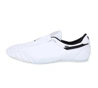 LUCKDANO Taekwondo Shoes Boxing Kung Fu Zapatos Taichi Zapatos para Hombres Mujeres | Zapatos de Artes Marciales Transpirables Ligeros con Plantas de Goma Que No Son Deslizantes (43)