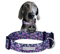 Lucky Love Dog Collar ancho | Collar perfecto para perros con cabezas y cuello más grandes (Primrosa, extra grande)