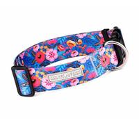 Lucky Love Dog Collar de 1.5 pulgadas de ancho, collar de perro ancho con patrón colorido para perros medianos, collar perfecto para perros machos o hembras con cabezas y cuellos más grandes (Zuzu,