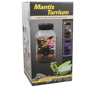 Lucky Reptile Arrium de Insectos - Mantis