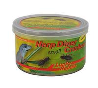 Lucky Reptile Herp Diner Crickets Grande 35 g, 1er Pack (1 x 35 g)