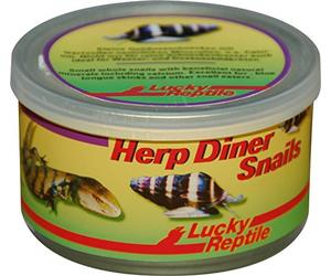 Lucky Reptile Herp Diner Snails No Shell 35 g (2 Unidades, 35 g)
