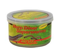 Lucky Reptile Herp Diner Super Worms 35 g (2 Unidades, 35 g)