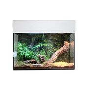Lucky Reptile Kit de Inicio araña y escorpión 50cm - Set Completo terrario para tarántulas - Kit de terrario Accesorio Incluido para Principiantes - Set arañas y Escorpiones Blanco