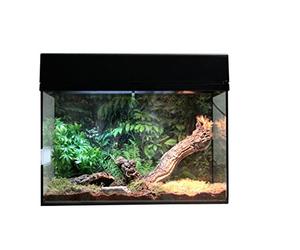 Lucky Reptile Kit de Inicio araña y escorpión 50cm - Set Completo terrario para tarántulas - Kit de terrario Accesorio Incluido para Principiantes - Set arañas y Escorpiones Negro