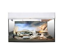 Lucky Reptile Kit de Inicio geco de Arena 50 cm - Set Completo de terrario para gekkos pequeños Kit de terrario para hasta 4 gecos - Set de Inicio lagartijas Color Blanco