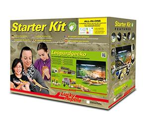 Lucky Reptile Kit de Inicio geco de Leopardo 80 cm - Set Completo de terrario para cría y tenencia Permanente de Geckos Set de Inicio Geckos de Leopardo Color Blanco