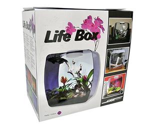 Lucky Reptile LB-30P Life Box 30 Nanoterrarium aus Acrylglas, Beere
