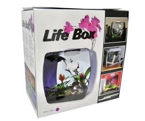 Lucky Reptile Life Box 35 Beere, Nanoterrarium aus Acrylglas