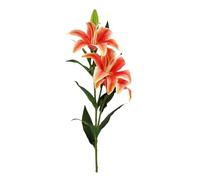 Lucky Reptile Scape it Easy - Planta Decorativa para terrarios (55 cm), Color Naranja
