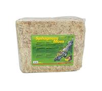 Lucky Reptile Sphagnum Moss - 500 g Ladrillos de Musgo para terrarios - Musgo de terrario para Aumentar Humedad del Aire - Musgo de Cultivo controlado orquídeas y bromelias - Accesorio para Reptiles