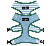 Lucy & Co. Set Sail - Arnés reversible, cabestro para caminar, arneses para mascotas de mejor diseño para perros pequeños, chaleco acolchado ajustable para caminar fácilmente, pequeño, rayas azules y