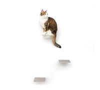 LucyBalu® Steps XL Escalera para gatos para pared interior y exterior, juego de 3 unidades, para gatos de hasta 10 kg, revestimiento antideslizante, 3 niveles, fijación a la pared, 24 x 20 cm, color