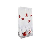 LUDI-VIN - Bolsas de papel de lujo con asas de cuerda, para 2 botellas de vino, decoración de trineal