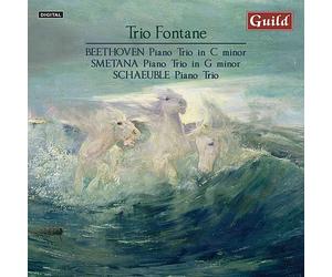 Ludwig van Beethov Beethoven: Piano Trio in C Minor/Smetana: Piano Trio In. (CD)